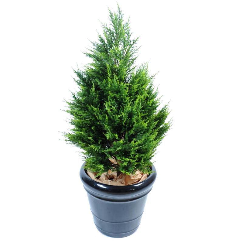 Cyprès artificiel Junipérus
