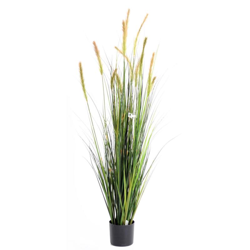 Foxtail Artificiel GF