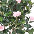 Camelia Artificiel Japonica Double NEW