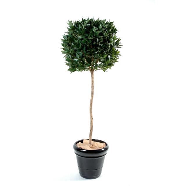 Laurier Boule Luxe Tige Artificiel Avec UN Tronc en Bois