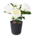 Pivoine Artificielle *3
