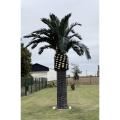 Palmier Artificiel Royal 5m30
