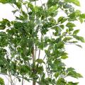 Palissandre artificiel Plast