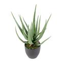 Aloe artificielle