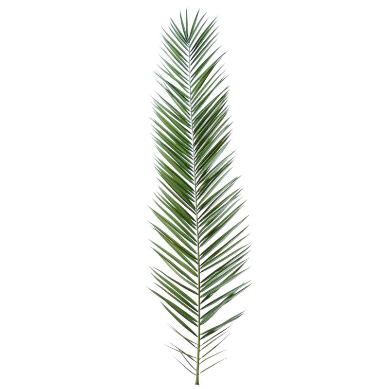 Palme artificielle Phoenix Canariensis
