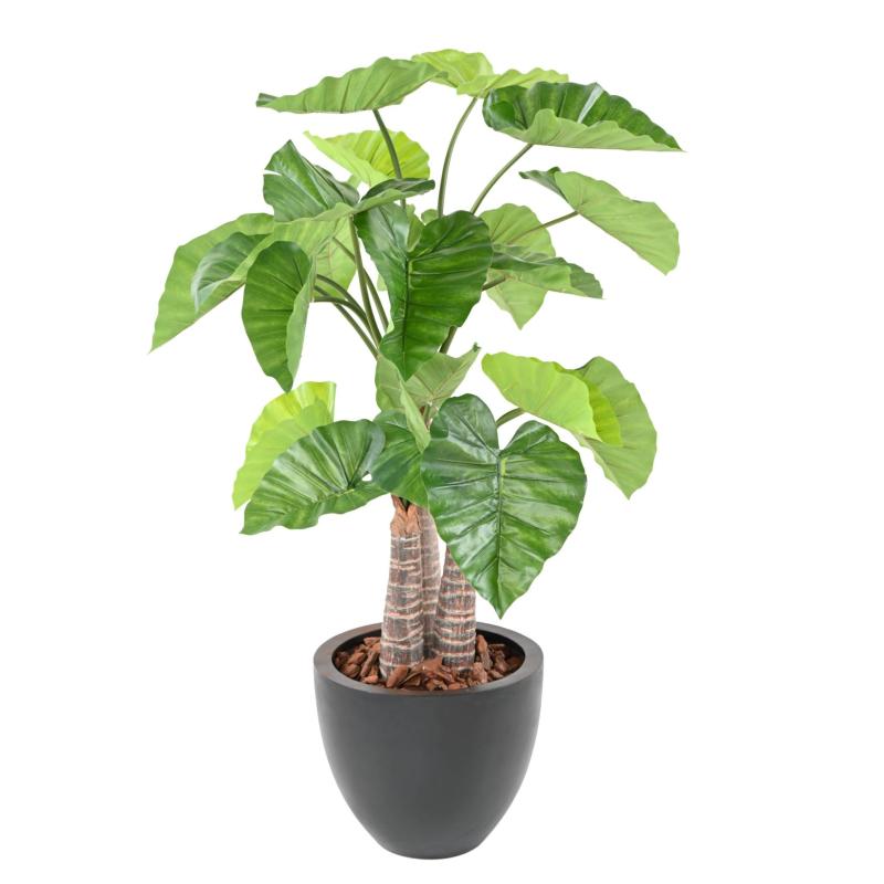 Alocasia Artificiel