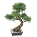 BONSAI JUNIPERUS ARTIFICIEL EN COUPE