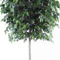 Ficus artificiel natasja tree