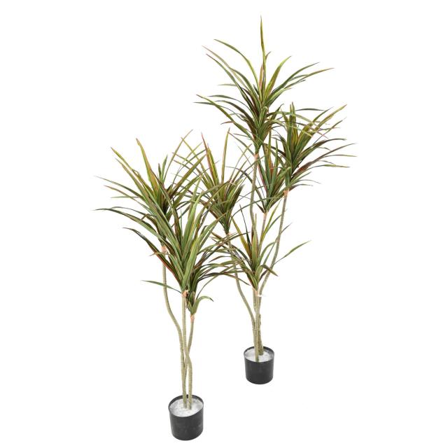 Dracaena Artificiel