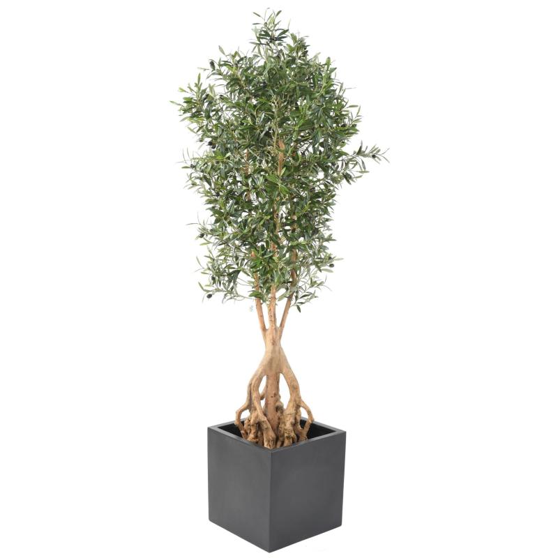 Olivier artificiel New Root