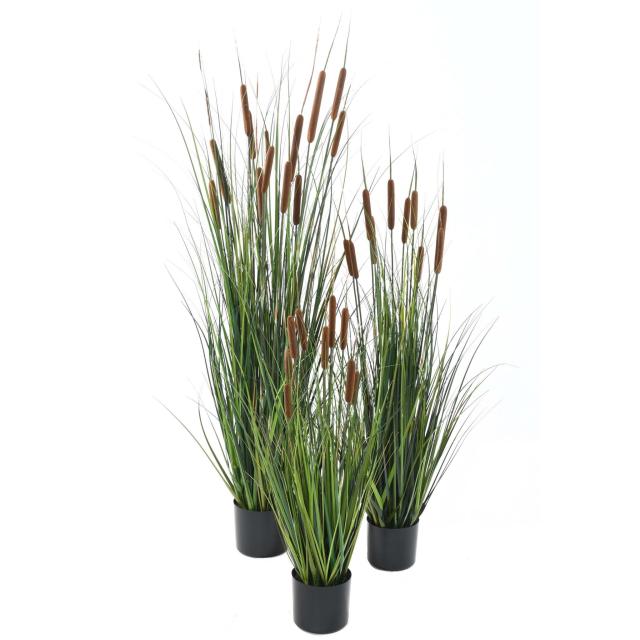 Cattail Artificiel