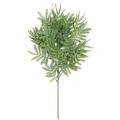 Tamarin Artificiel SPRAY (mimosa)