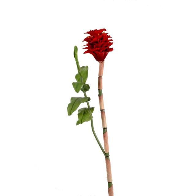 Indonesian Ginger Artificiel Rouge en Tige de 70 cm de Hauteur