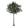 Camelia artificiel Japonica Tree Arbre Fruitier