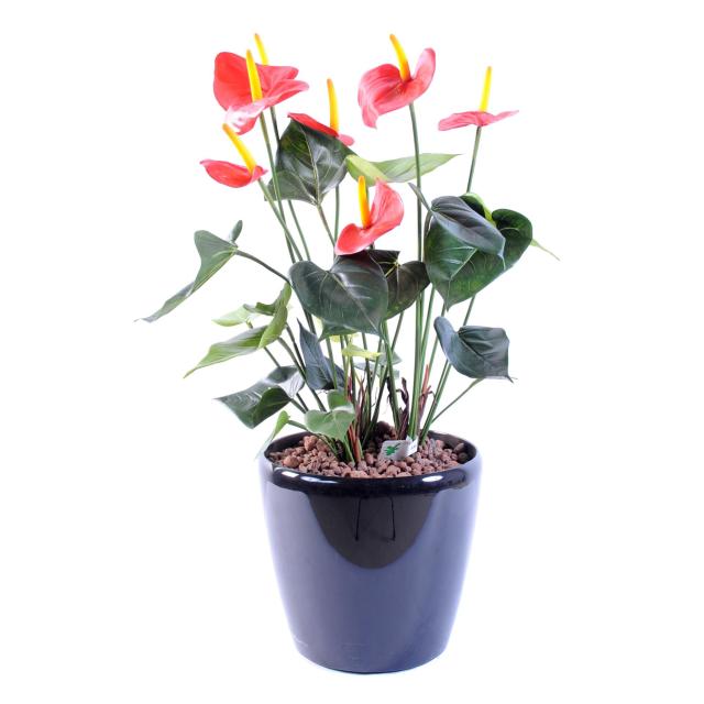 Anthurium Artificiel Rouge de 50 cm