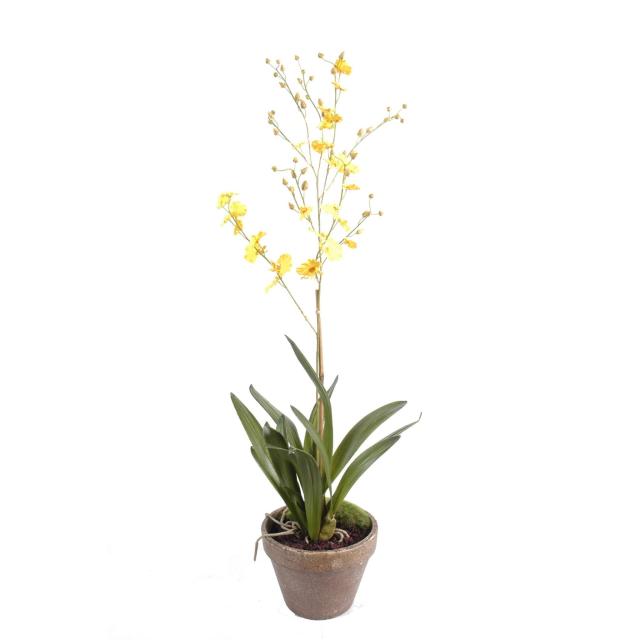 Orchidée Dancing Lady Artificielle de 90 cm de Hauteur Fleurs Jaunes