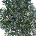 Camelia artificiel Japonica Tree Arbre Fruitier