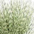 Miscanthus Artificiel Zebrina Rond 55