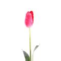 Tulipe artificielle