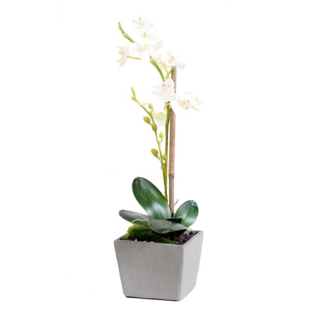 Orchidée Phalaenopsis Artificiel en Pot D'une Hauteur de 37 cm Blanc