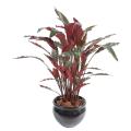 Calathea artificiel en pot