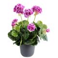 Geranium artificiel 30 cm