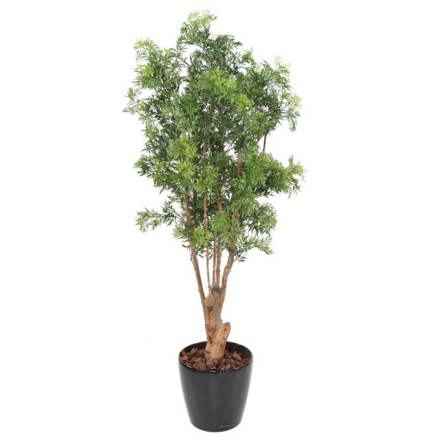 Aralia Artificiel Ming Nitida TN UV - Feuillus Artificiels