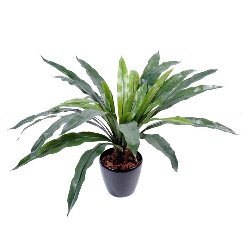 Asplenium Artificiel Tronc 30 Feuilles
