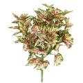 Begonia Artificiel Rex