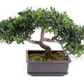 Bonsai artificiel Thé Mini 22 cm