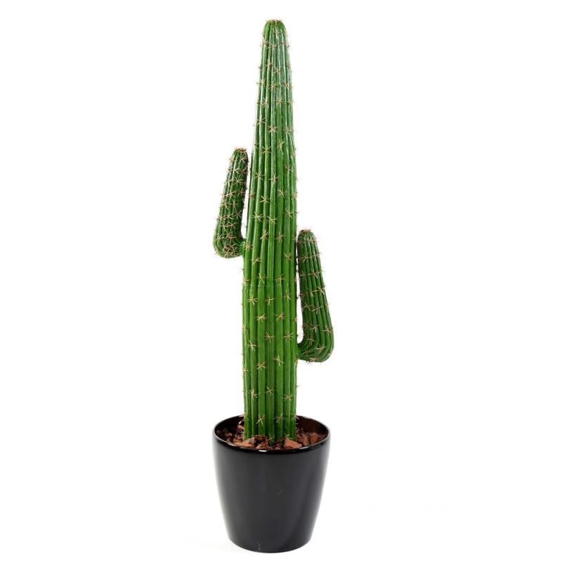 Cactus artificiel Mexico