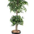 Ficus artificiel double boule
