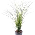 Herbe de Rivère artificielle Plast