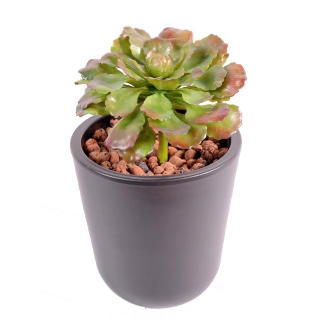 Succulent Artificiel en Piquet de 19 cm de Haut et 15 cm de Diamètre