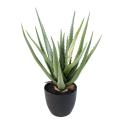 Aloe Artificielle 48