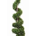 Buis artificiel spirale new