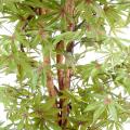 Aralia artificiel New Erable