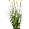 Foxtail Artificiel GF