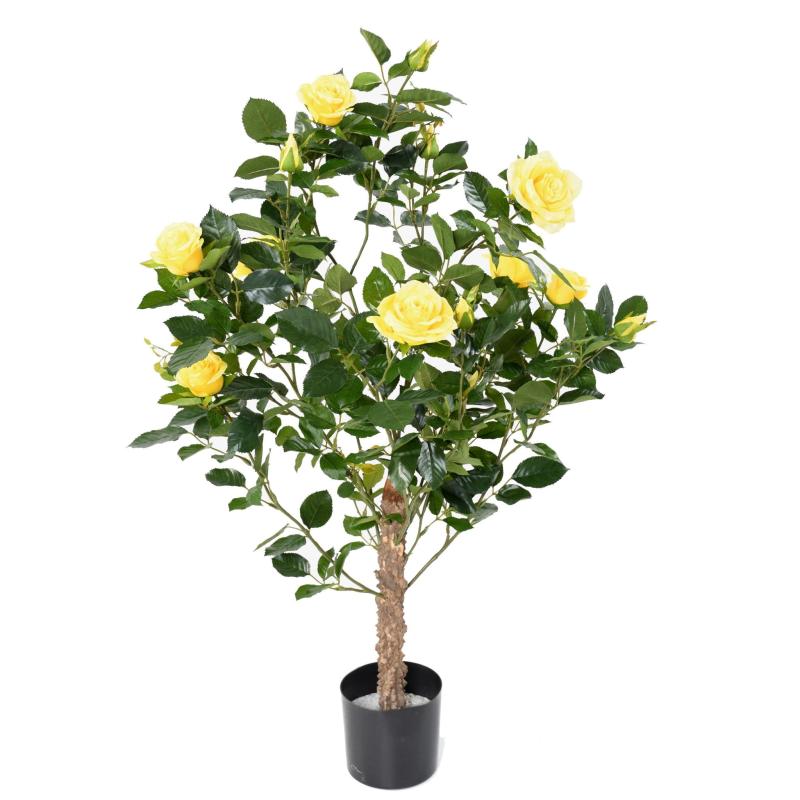 Rosier Artificiel Royal