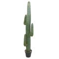 CACTUS Artificiel MEXICO GR