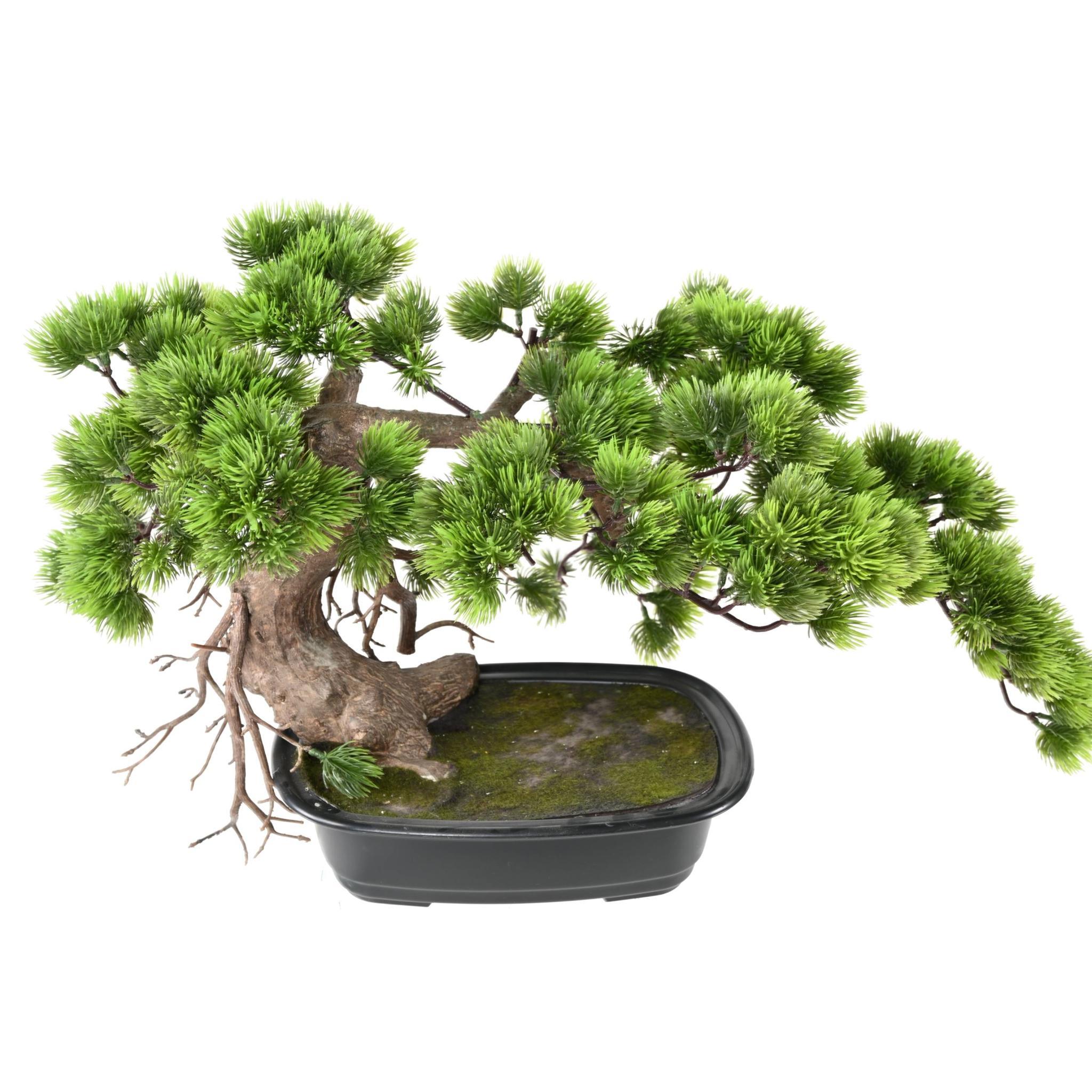 BONSAI Artificiel PIN 37 - Bonsais artificiels