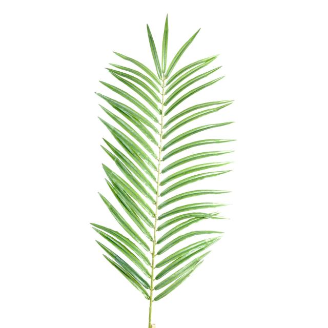 Palme Artificielle de Phoenix de 60 cm de Hauteur