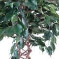 Ficus artificiel cage