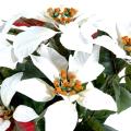 Poinsetia artificiel rouge, rose, crème
