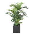 Areca Artificiel TREE