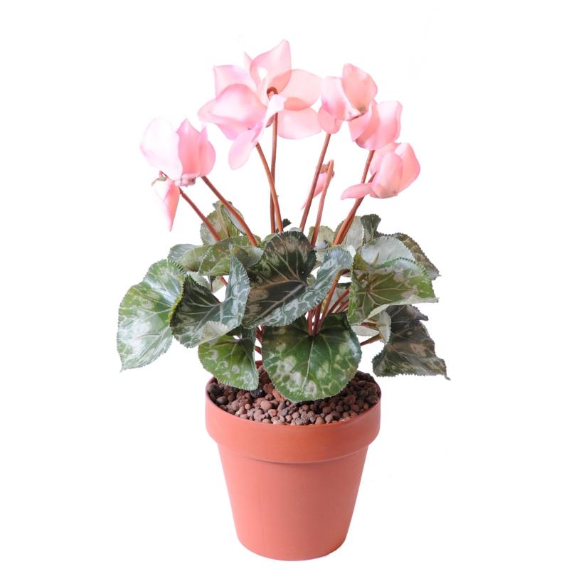 Cyclamen artificiel