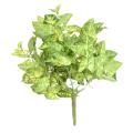 Syngonium *9 Artificiel