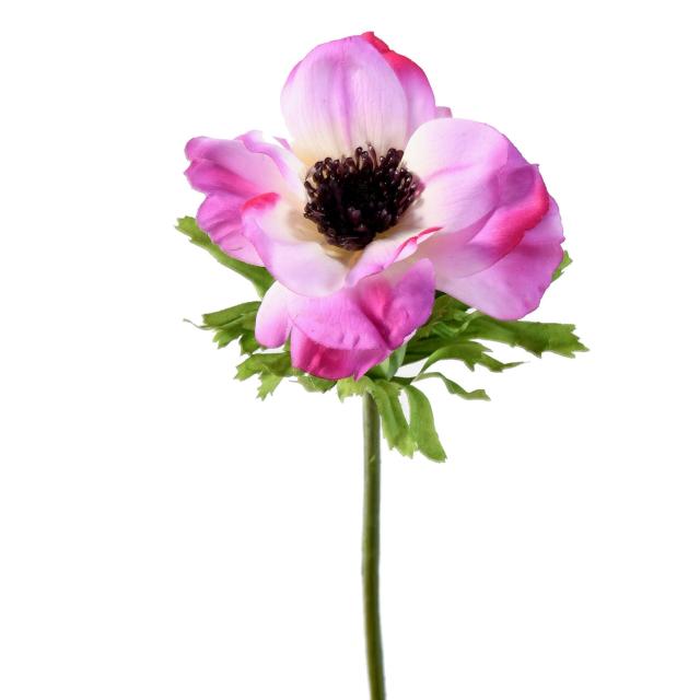 Anemone Artificielle