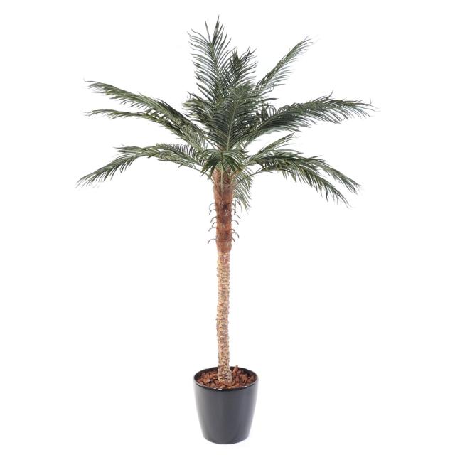 Palmier Artificiel Phoenix Palm - 210 cm de Hauteur - Tronc en Fibre