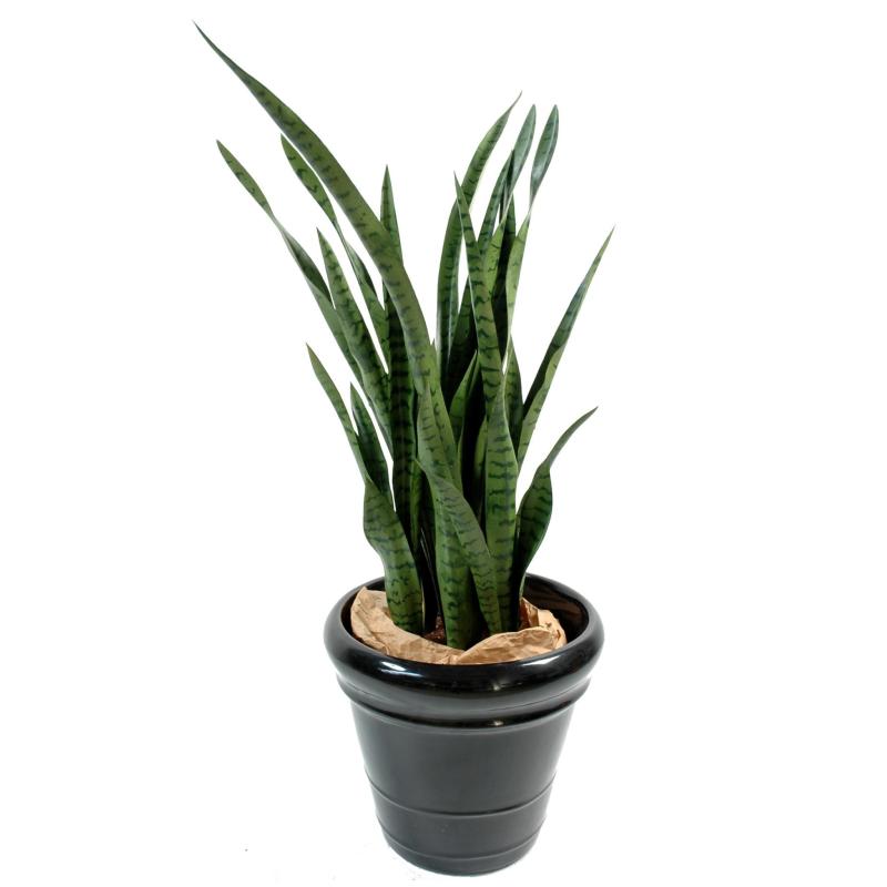 Sansevieria artificiel